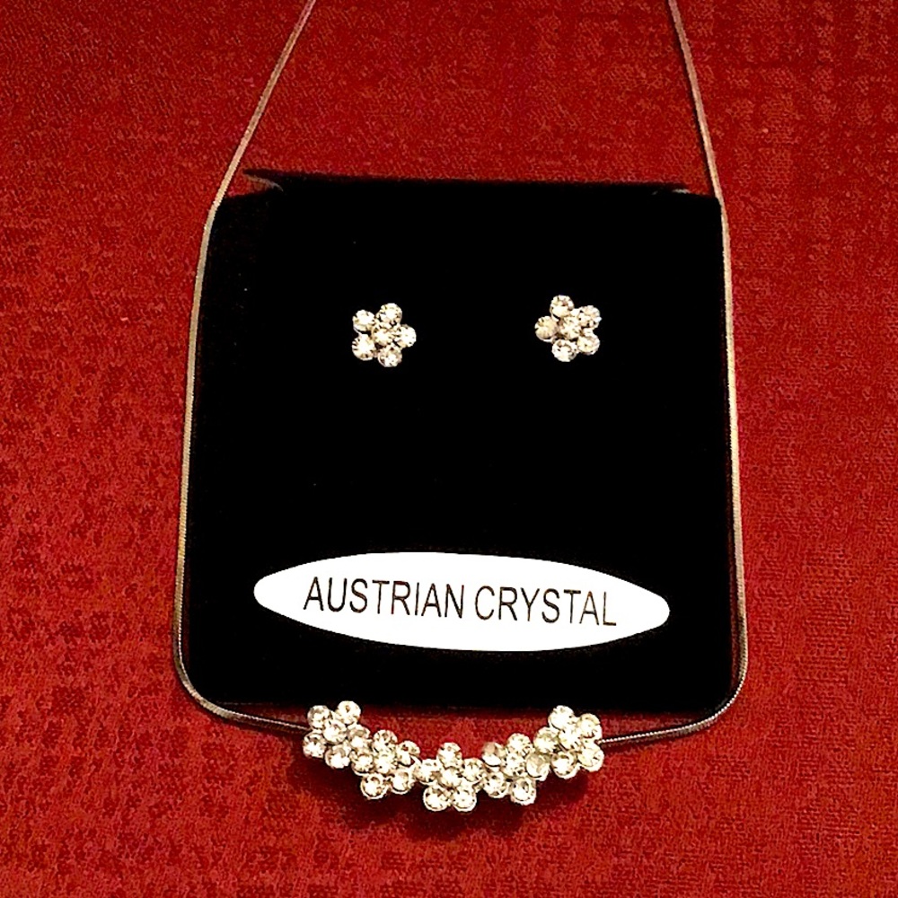 Beautiful necklace and earrings set.
